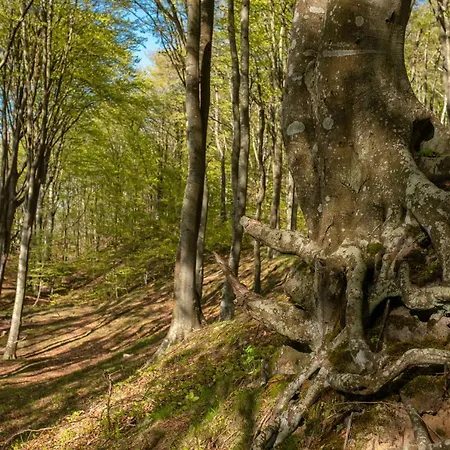 דירה 9b Blue Marine Basen Brodziki Plac Zabaw The Of Przy Plazy *