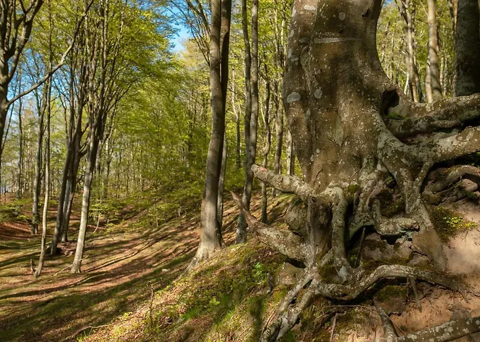 Daire 9b Blue Marine Basen Brodziki Plac Zabaw The Of Przy Plazy *