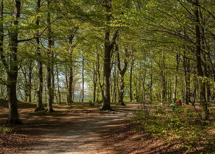 9b Blue Marine Basen Brodziki Plac Zabaw The Of Przy Plazy